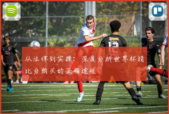 从法律到实操：深度分析世界杯猜比分购买的正确途径