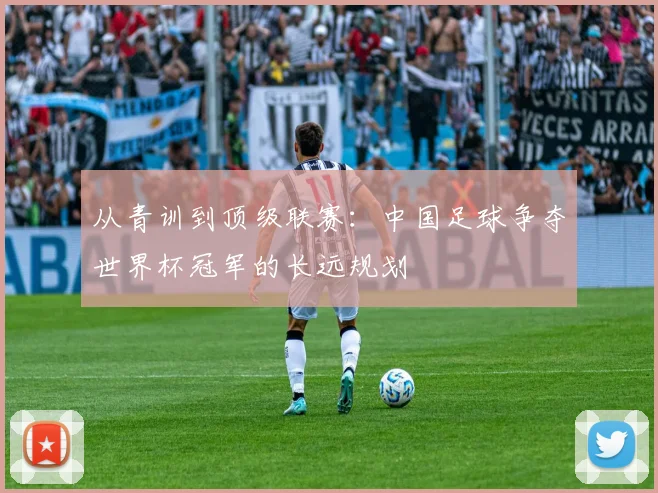 从青训到顶级联赛：中国足球争夺世界杯冠军的长远规划